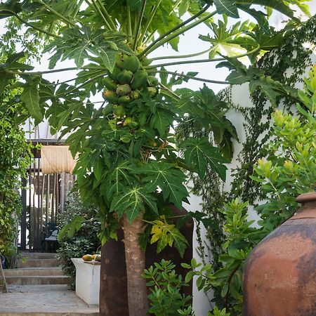 Altanure Almatere - Food Forest Boutique Stay タヴィラ エクステリア 写真
