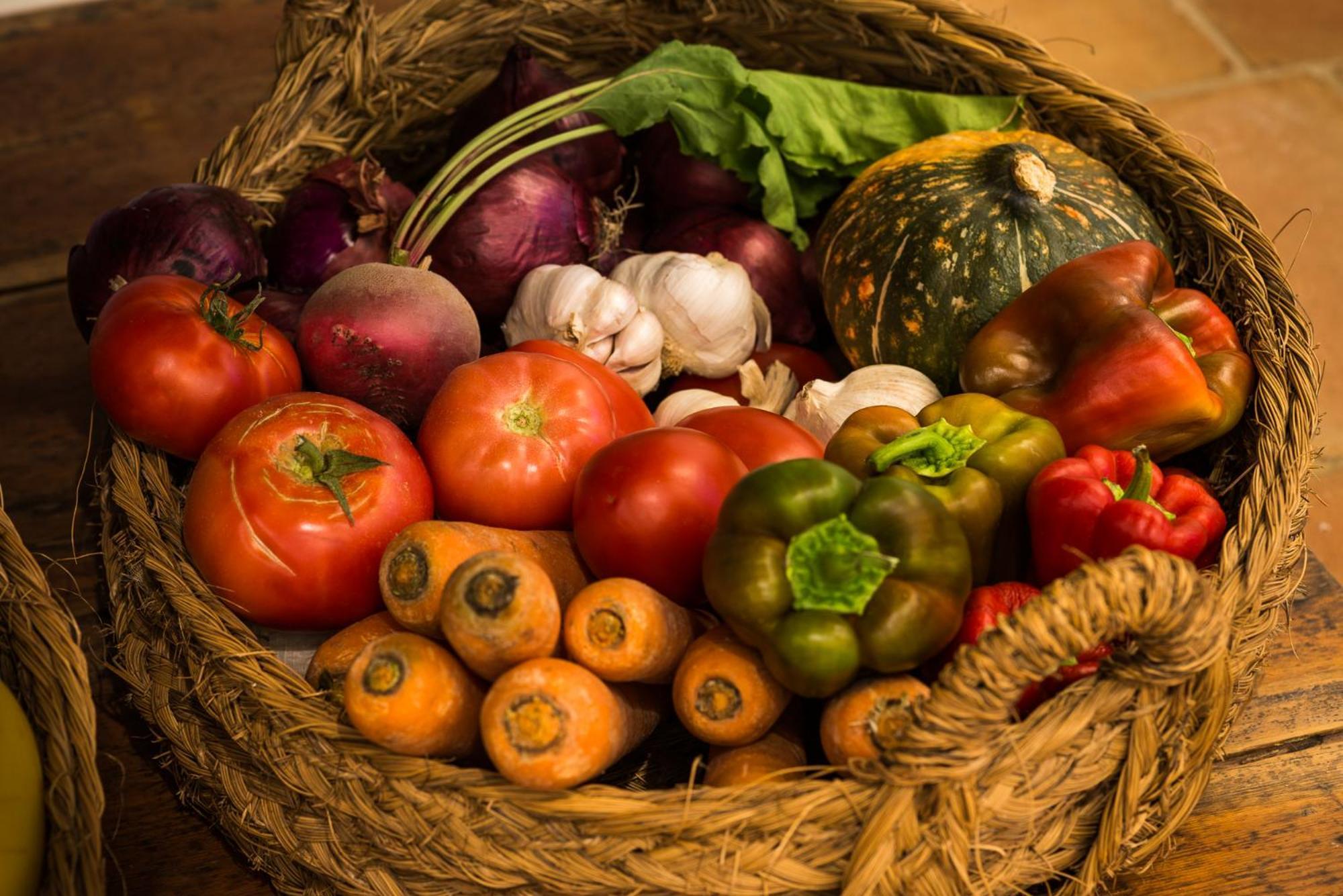 Altanure Almatere - Food Forest Boutique Stay タヴィラ エクステリア 写真