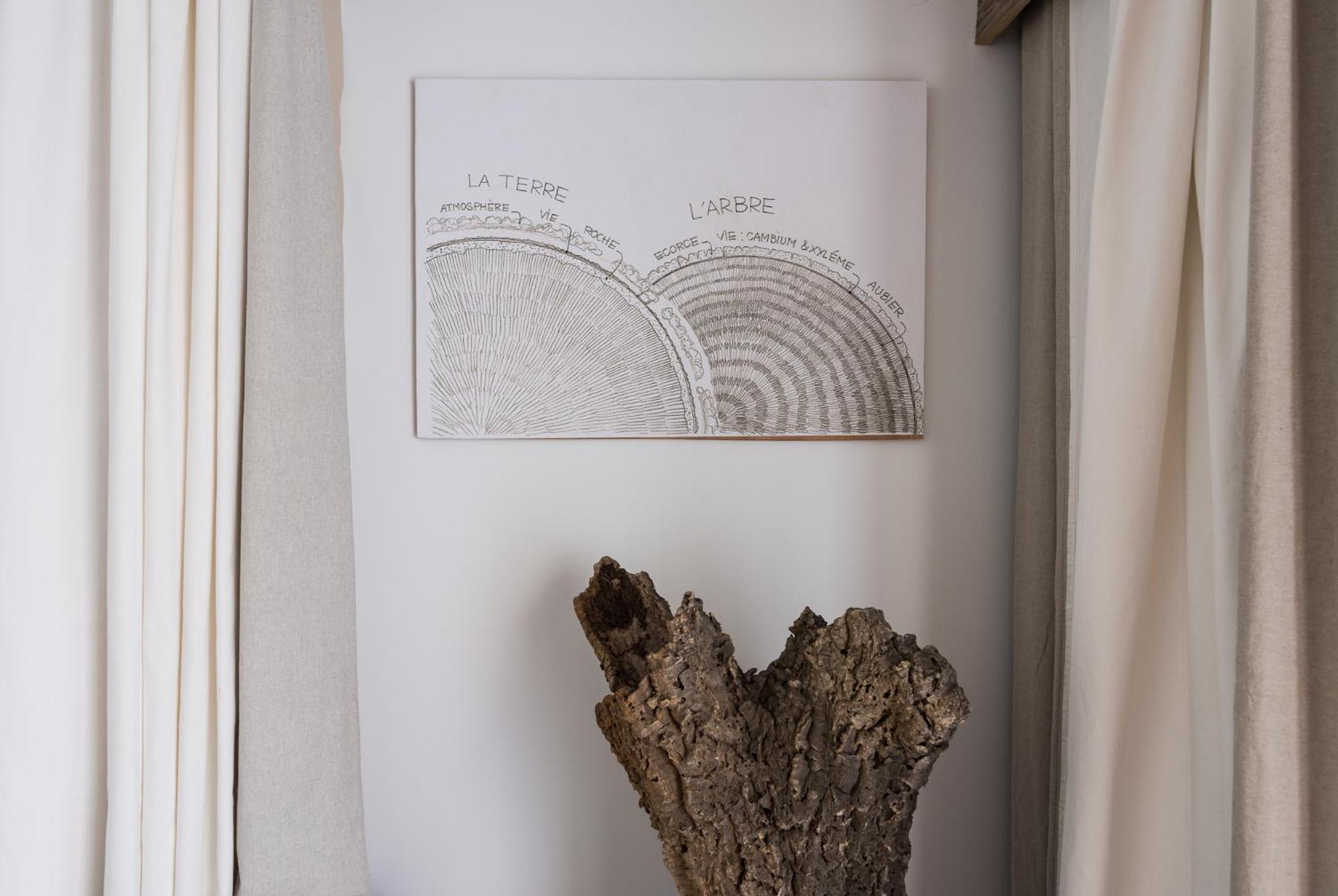 Altanure Almatere - Food Forest Boutique Stay タヴィラ エクステリア 写真